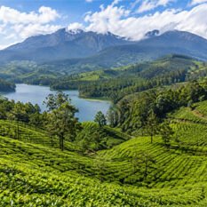 munnar munnar